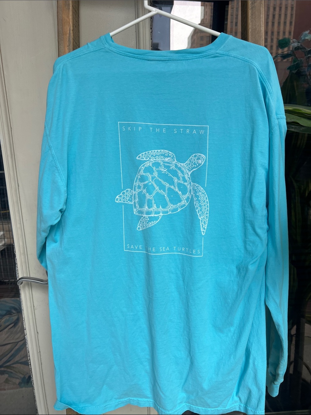 Hanes Turquoise Crewneck long sleeve T-Shirt with White Turtle Graphic